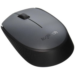 Logitch Mouse M171