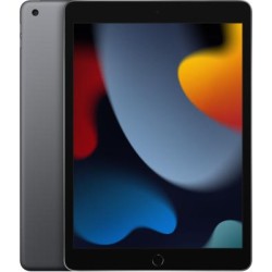 Apple iPad 9th Generation (Late 2021) 10.2" 256GB Wifi - Space Gray