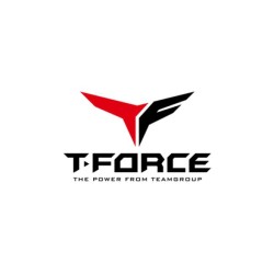 Teamgroup t-force